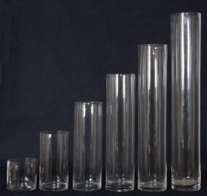 1010 1015 1020 1025 1030 1035 1040 1050 1060