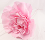 EVA FLOWER-16P   EVA FLOWER-20P