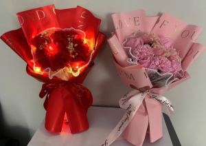 A-001R(H)    A-001P(H)